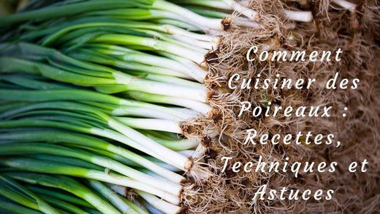 Comment Cuisiner des Poireaux : Recettes, Techniques et Astuces